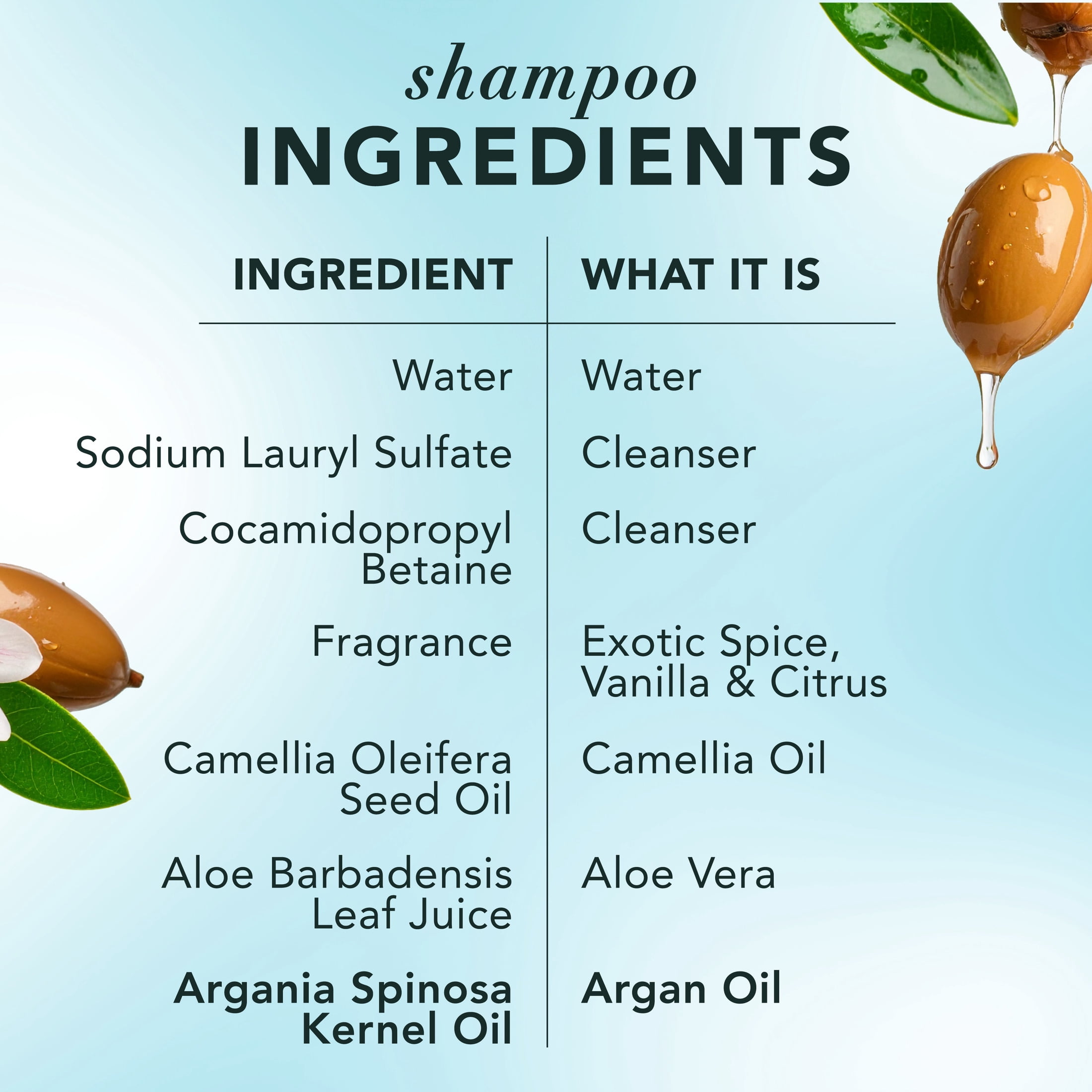 Herbal Essences Argan Repair Shampoo and Conditioner, 13.5 fl oz Each - Image 7