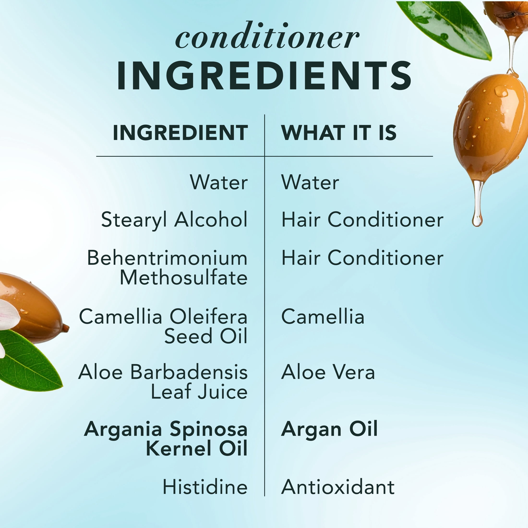 Herbal Essences Argan Repair Shampoo and Conditioner, 13.5 fl oz Each - Image 9