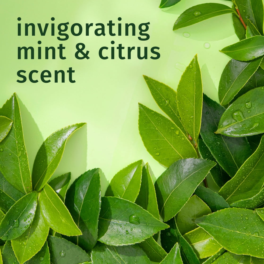 Herbal Essences Classics Clarifying Tea Tree Shampoo 13.5 fl oz - Image 6