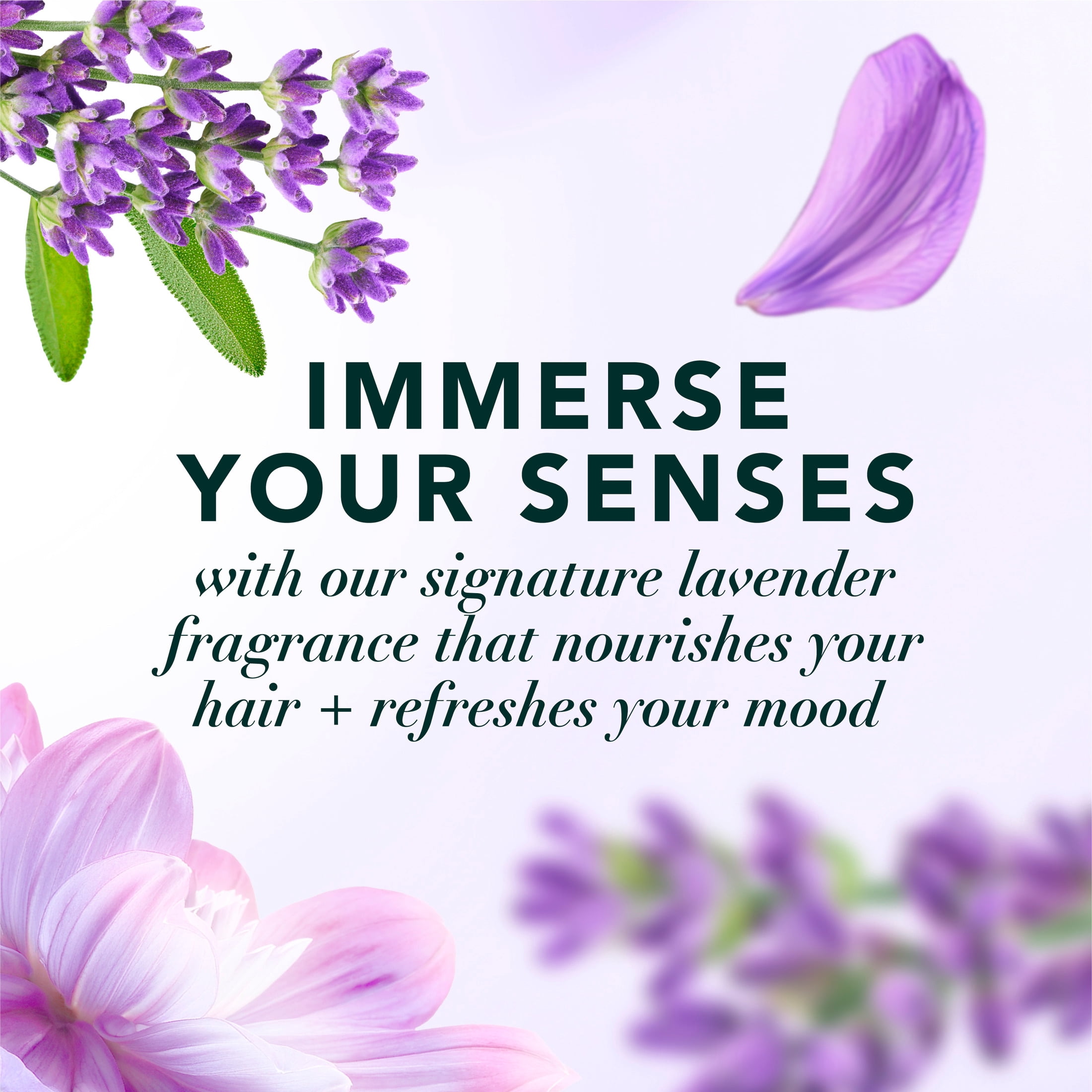 Herbal Essences Jojoba Oil and Lavender Curls Shampoo, 33.8 fl oz - Image 5