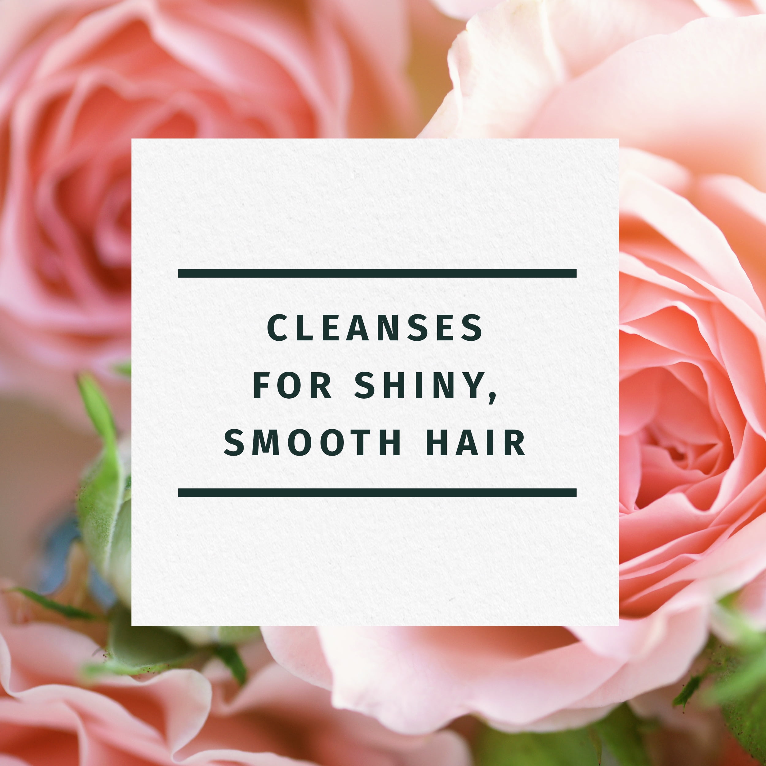 Herbal Essences Rose Hips Smooth Shampoo, All Hair Types, 13.5 fl oz - Image 2