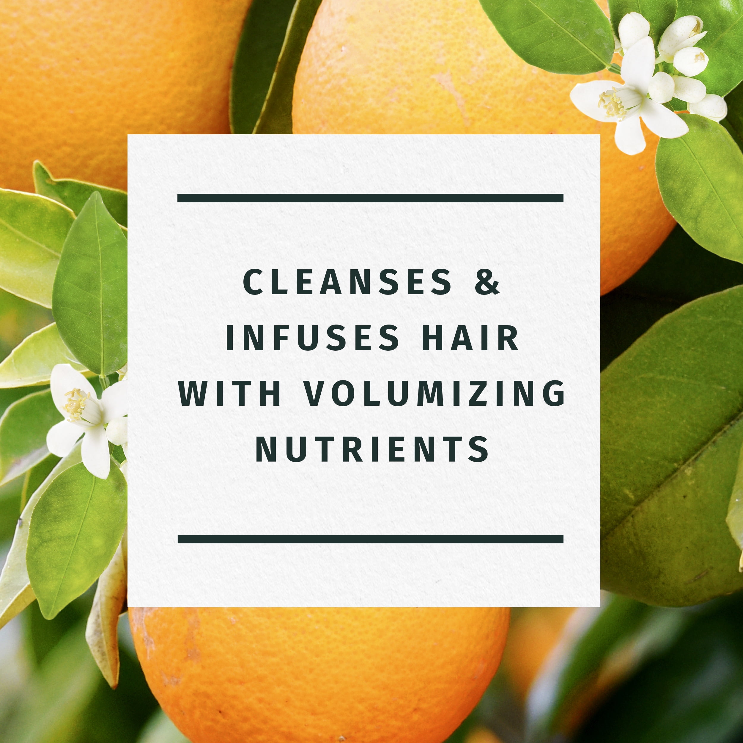 Herbal Essences Orange Blossom Volume Shampoo, For All Hair Types 13.5 fl oz - Image 3