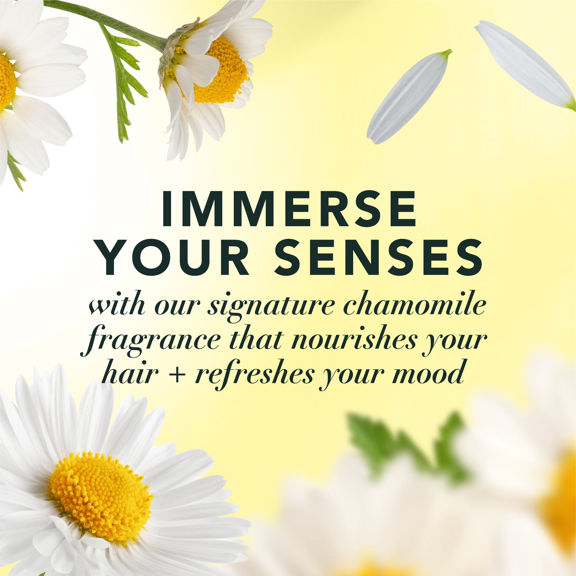 Herbal Essences Shine Collection Shampoo, 33.8 fl oz - Image 5